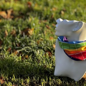 Round Square Necktube Buff - Rainbow