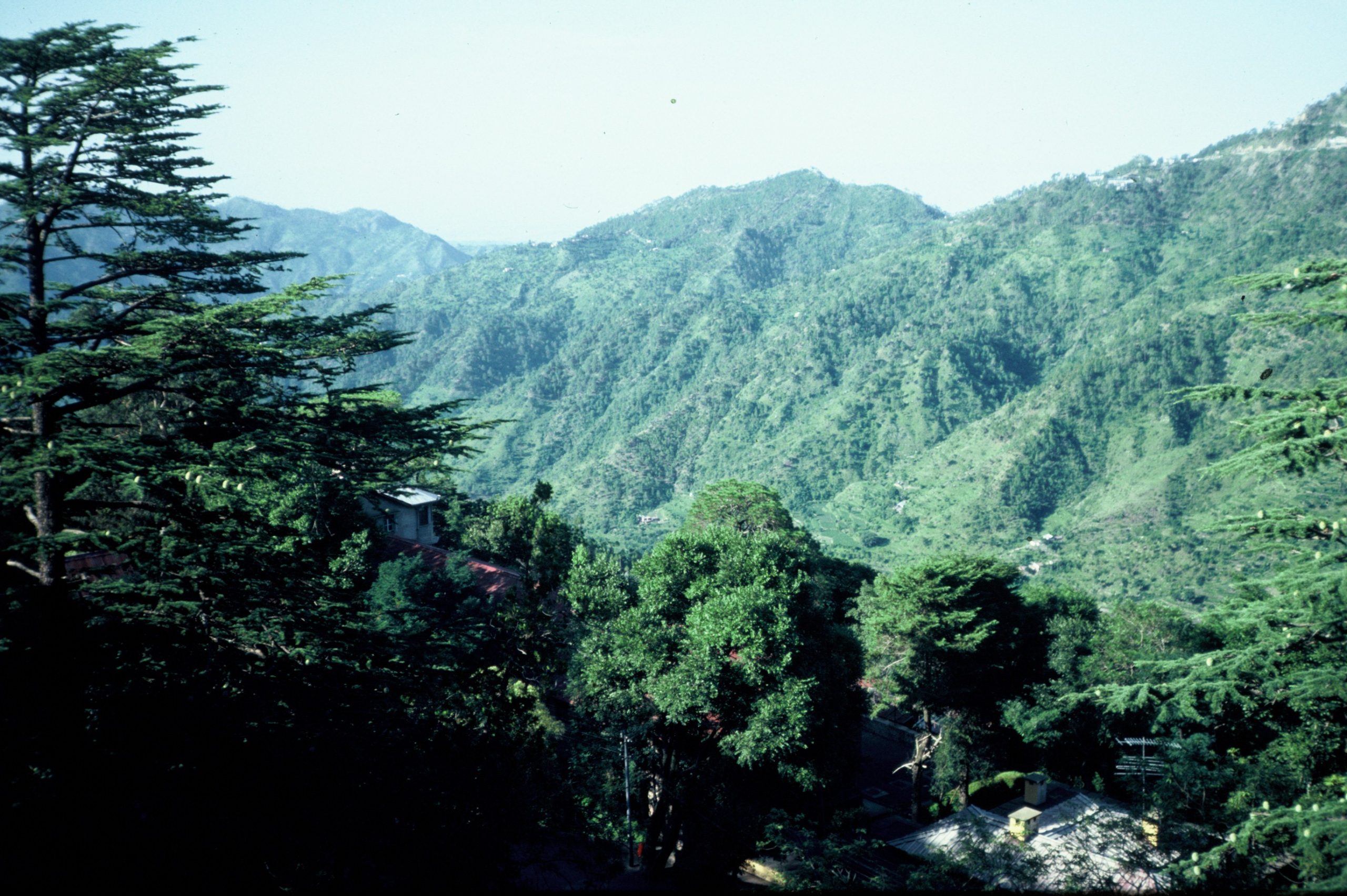 Paul Sandford RSIS 1983