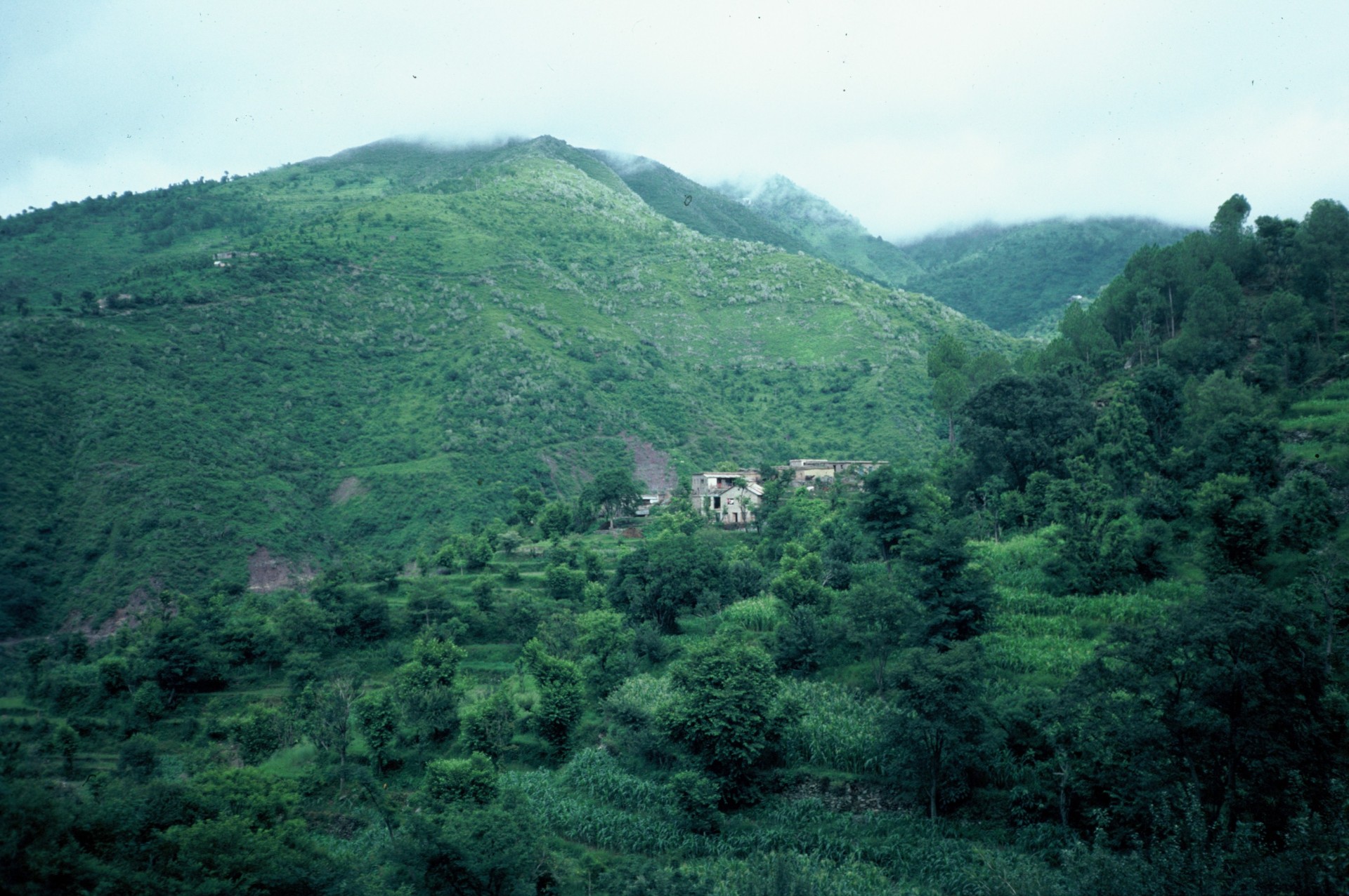 Paul Sandford RSIS 1983