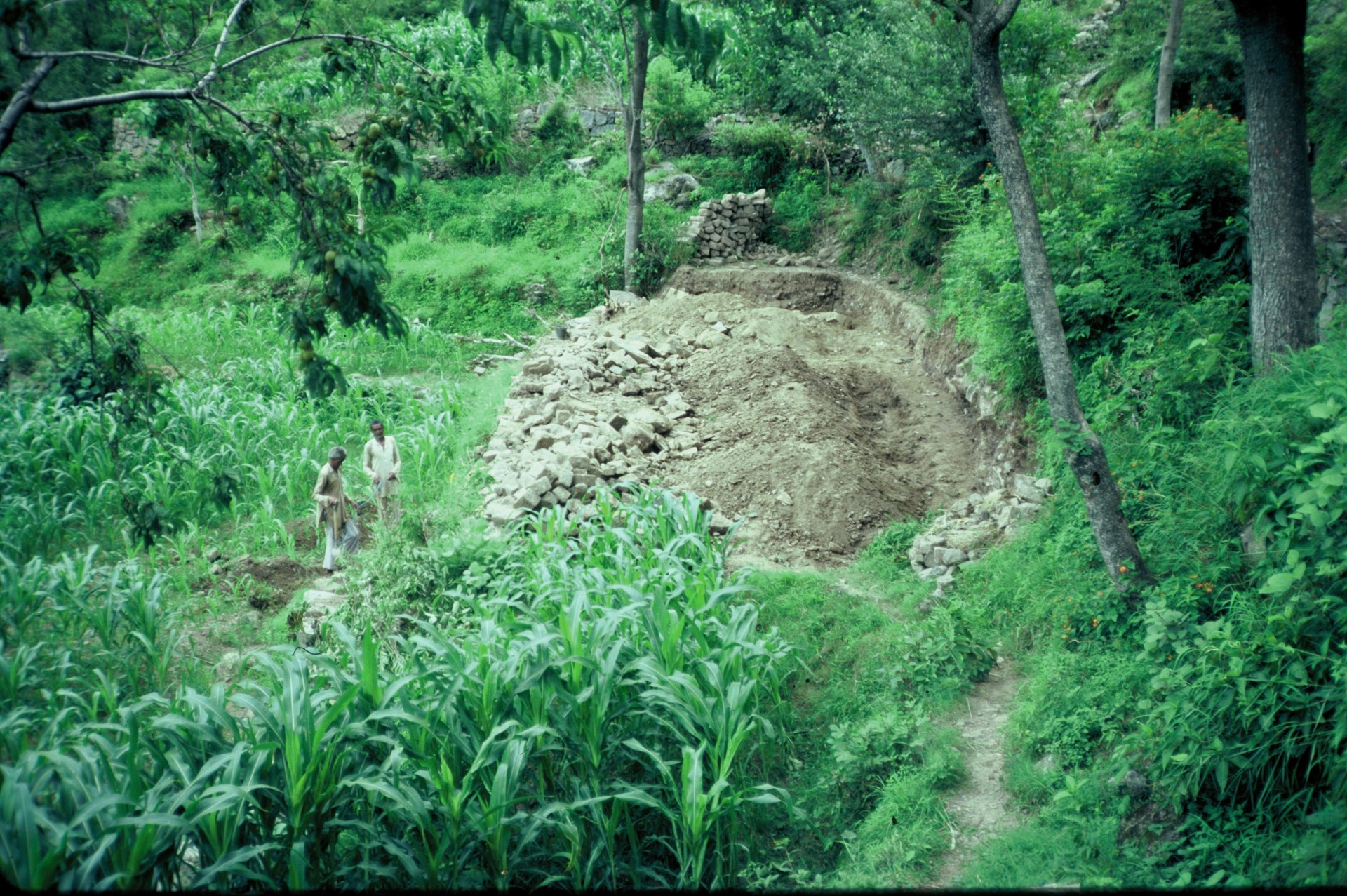 Paul Sandford RSIS 1983