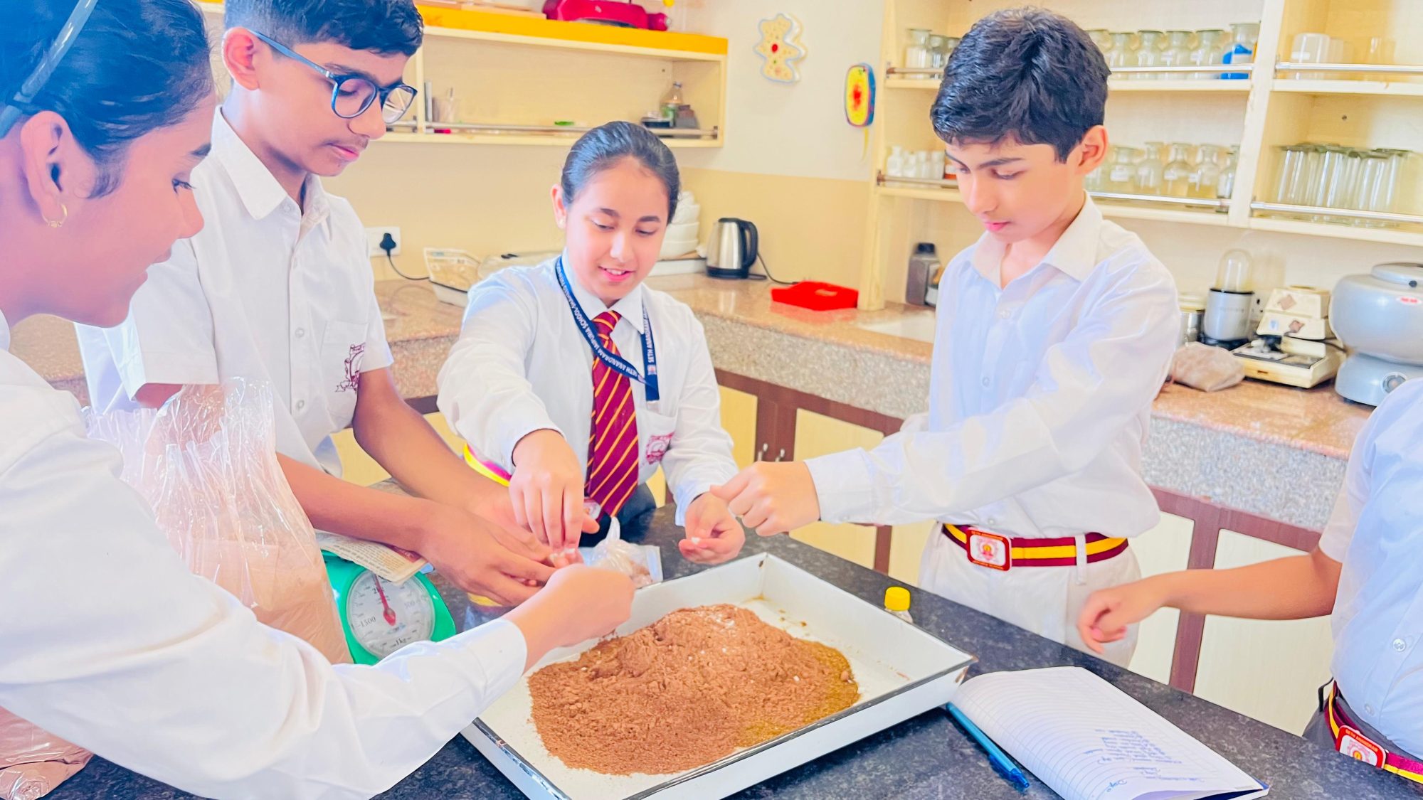 Seth Anandram Jaipuria School Lucknow 60 for 60