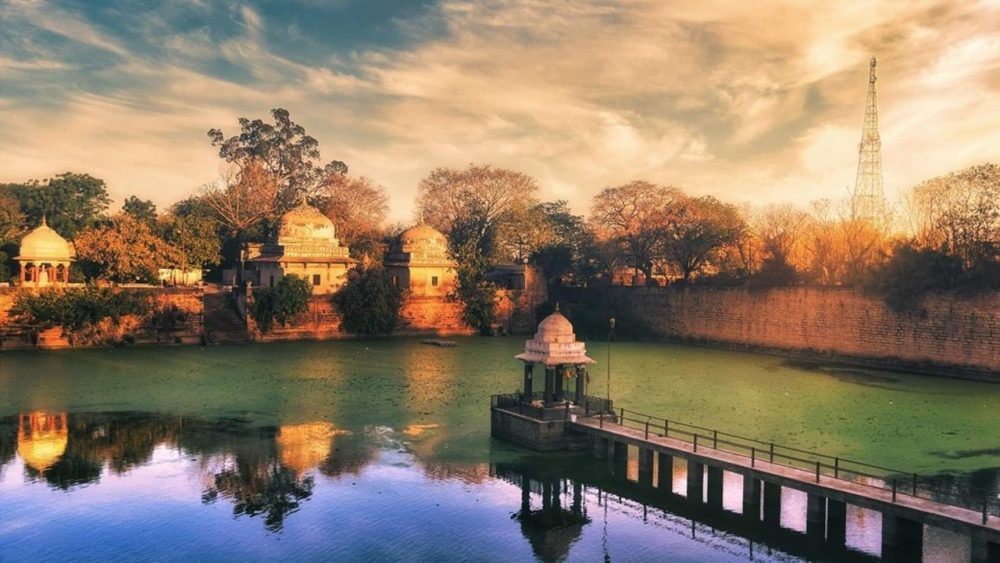 The Scindia School Biosphere Project